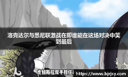 xk体育官网